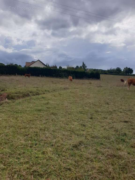 Terrain à ESSERTENNE