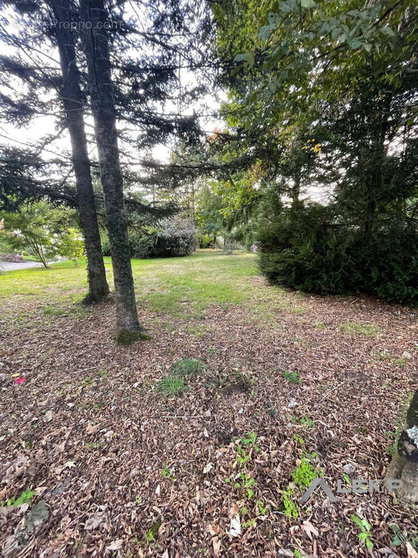 Terrain à SAINTE-MARIE