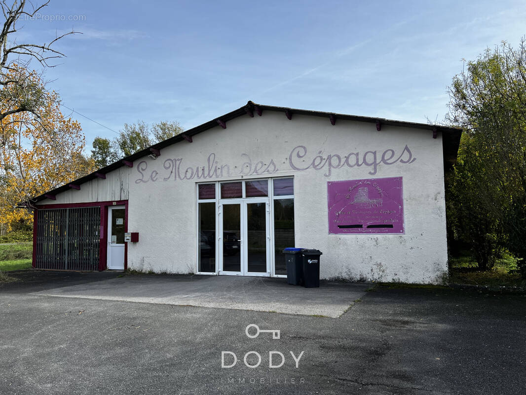 Commerce à SAINT-PIERRE-D'EYRAUD