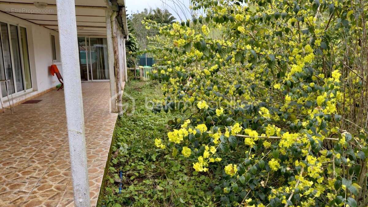 Maison 2 Chambres - photo 20