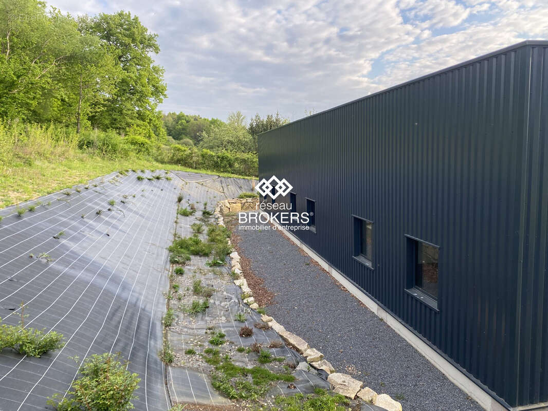 Façade arrière - Commerce à THIERS