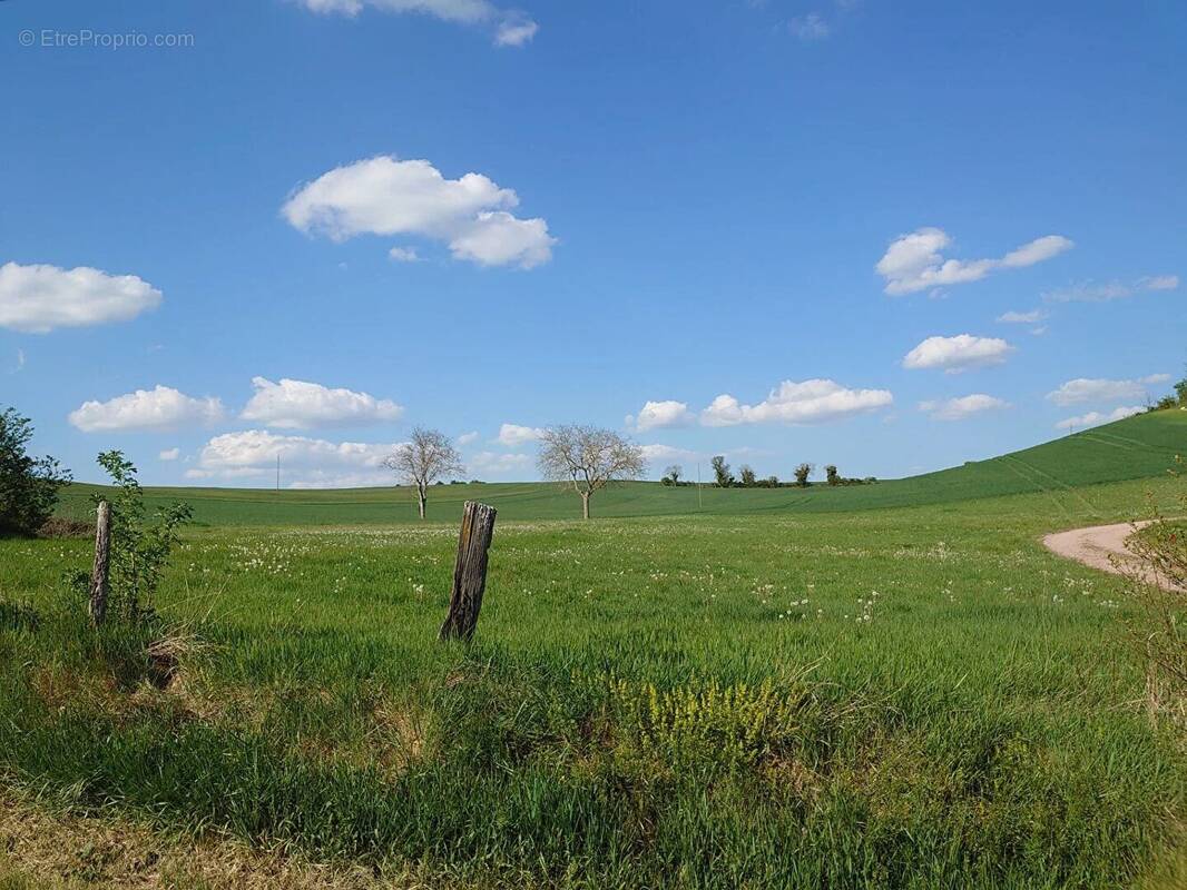 Terrain à LANGY