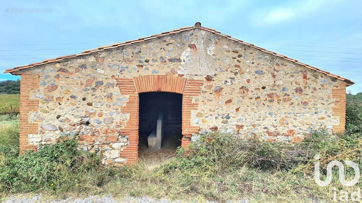 Photo 3 - Terrain à TAUTAVEL