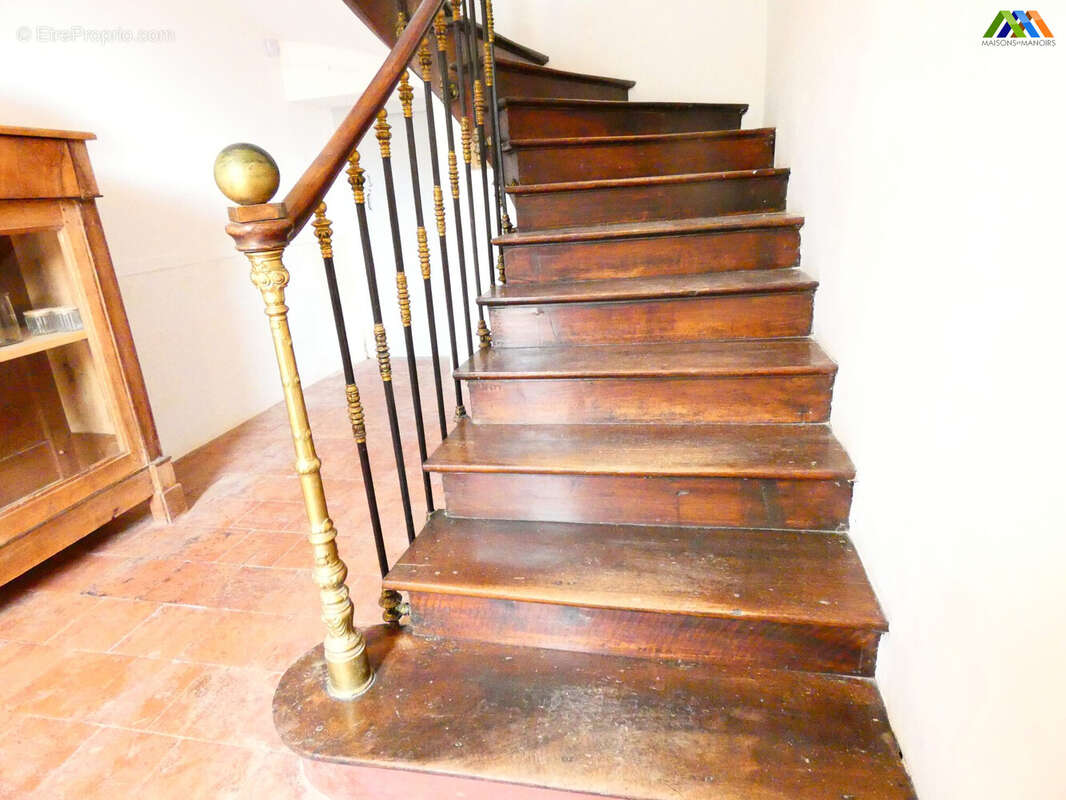 Maison 280 m² à L'isle-En-Dodon  - photo 5