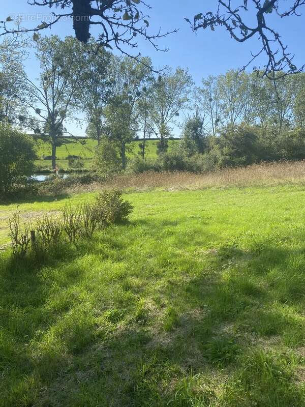 Terrain à VANDENESSE