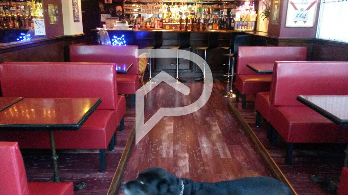 Commerce à LA GRANDE-MOTTE