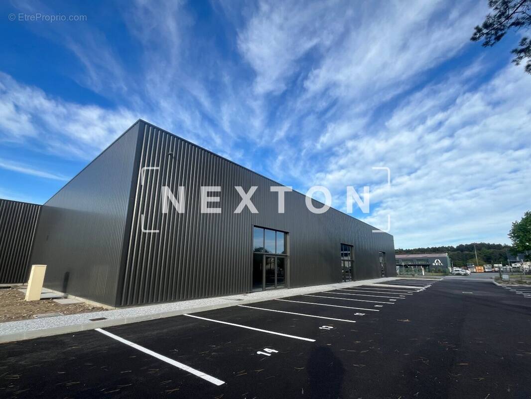 Commerce à BENESSE-MAREMNE