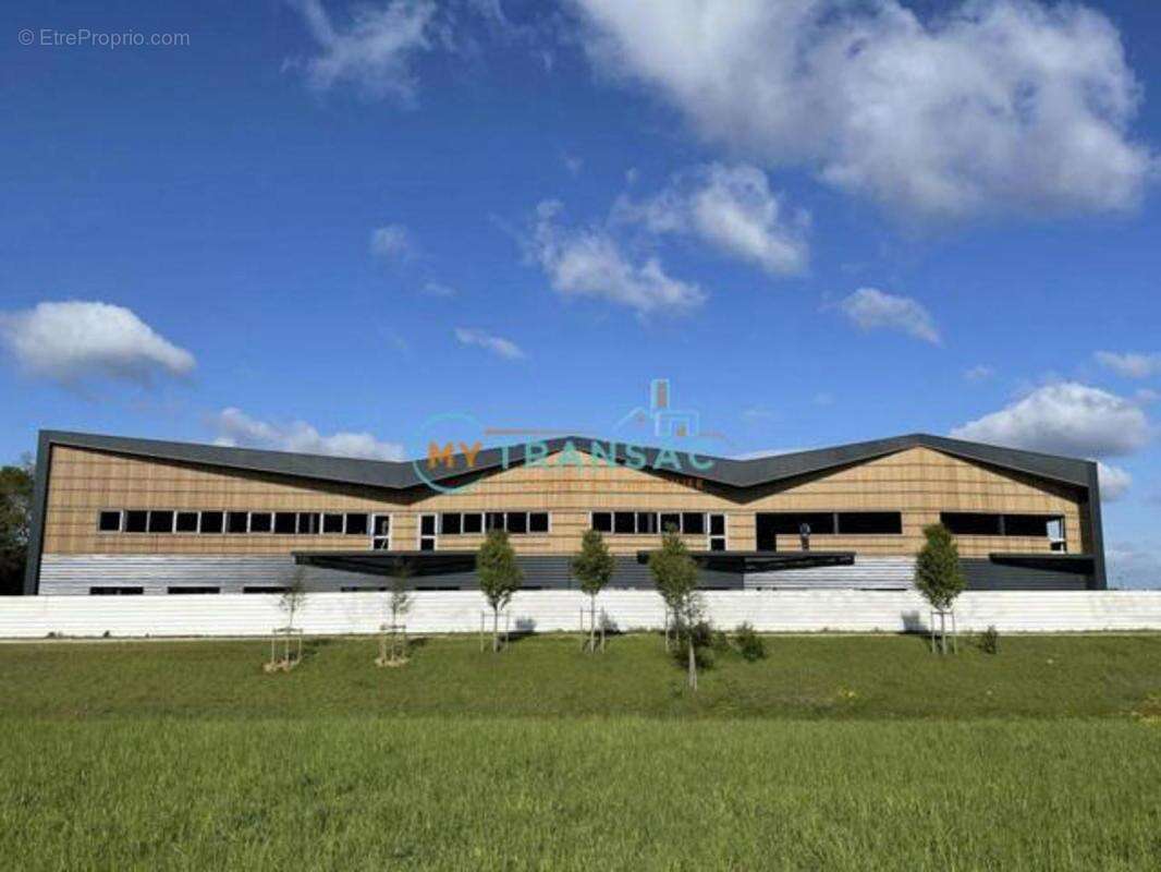 Commerce à MOISSY-CRAMAYEL