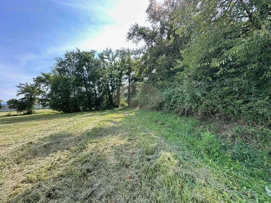 Maison à MONLEON-MAGNOAC