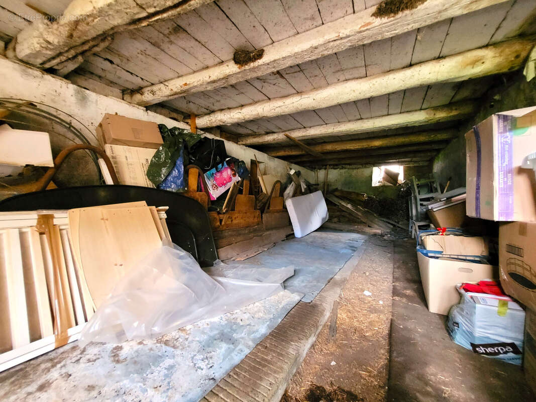 73630 SAINTE-REINE   Un projet rare dans un environnement préservé - photo 6