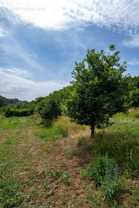 Terrain à COMMERCY