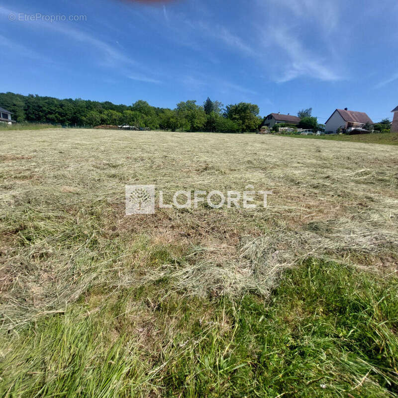 Terrain Montbouton 617 m2 - photo 4