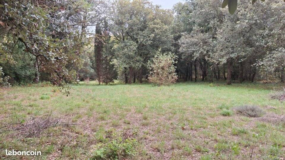 Terrain à RAISSAC-SUR-LAMPY