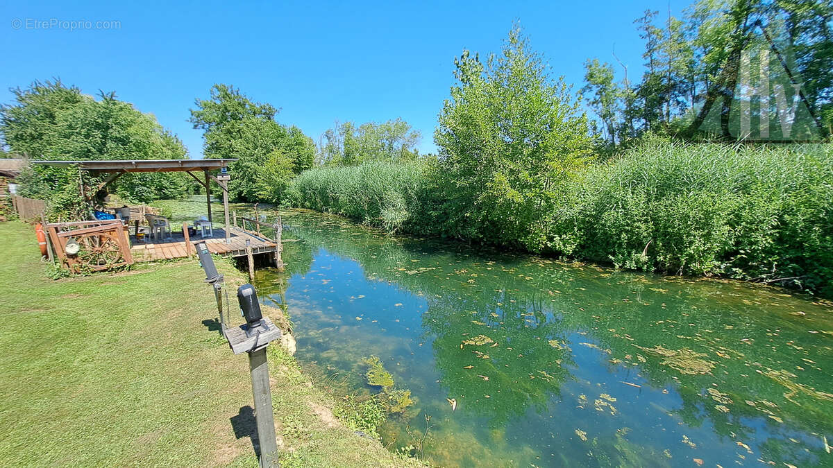 Pont sur Yonne (89) - Maison de 161 m2 avec 4 chambres, sous-sol, piscine et accès direct à l'Yonne. - photo 3