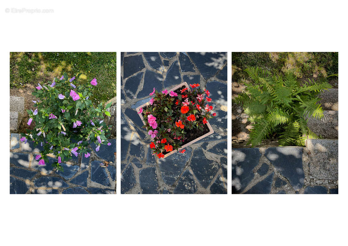 Maison à MONTMELAS-SAINT-SORLIN