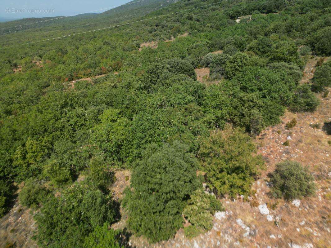 Terrain À Vendre - photo 7