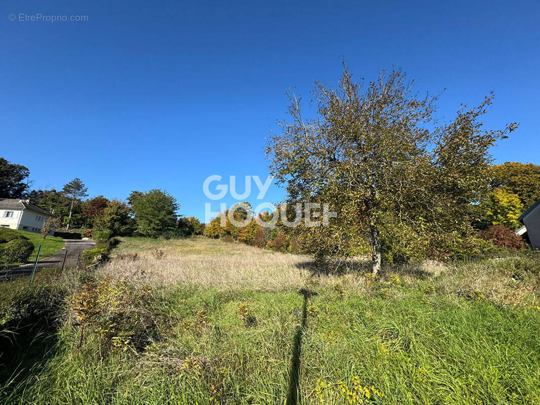 Terrain à MONTAGNEY