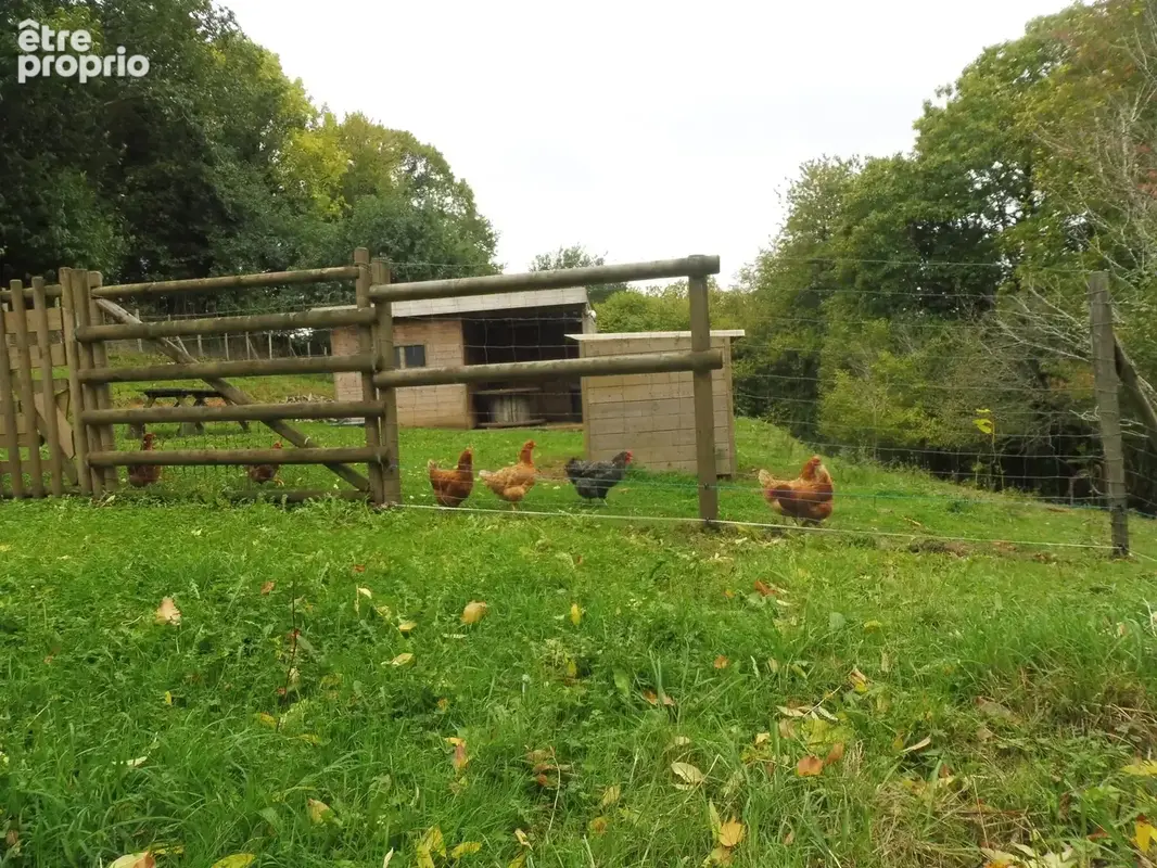 À la campagne, maison avec 2 ha de terrain - photo 17