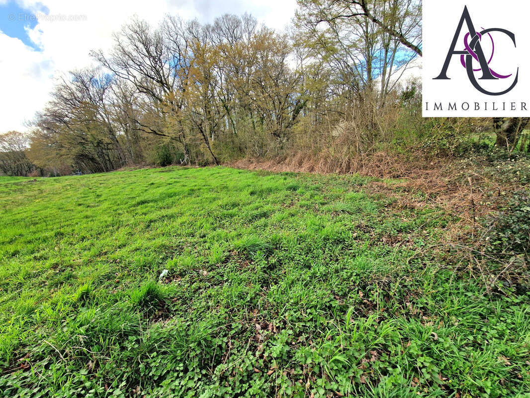 Terrain à VIGNOUX-SUR-BARANGEON