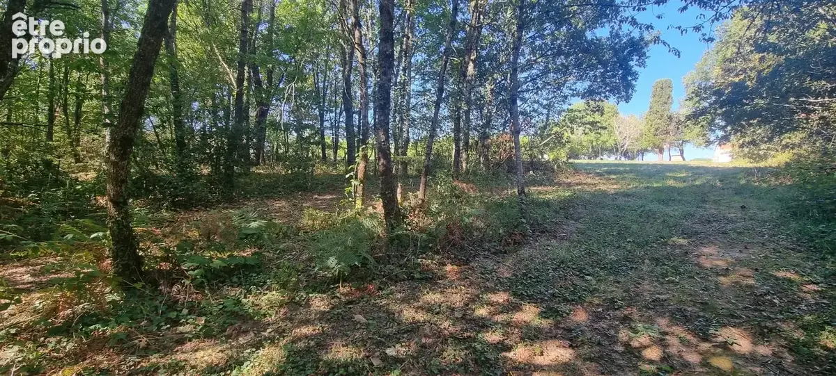 Terrain à bâtir 3100m2 à DOMME avec partie boisée - photo 3