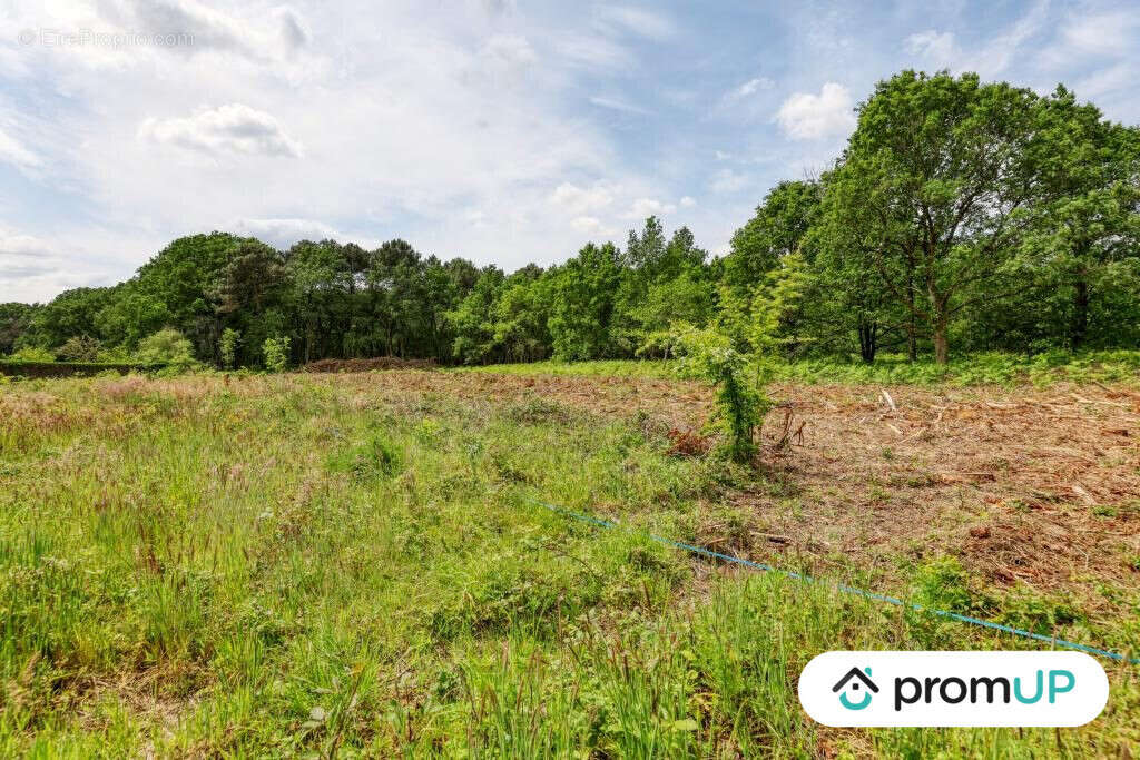 Terrain à SAINT-PHILBERT-DU-PEUPLE