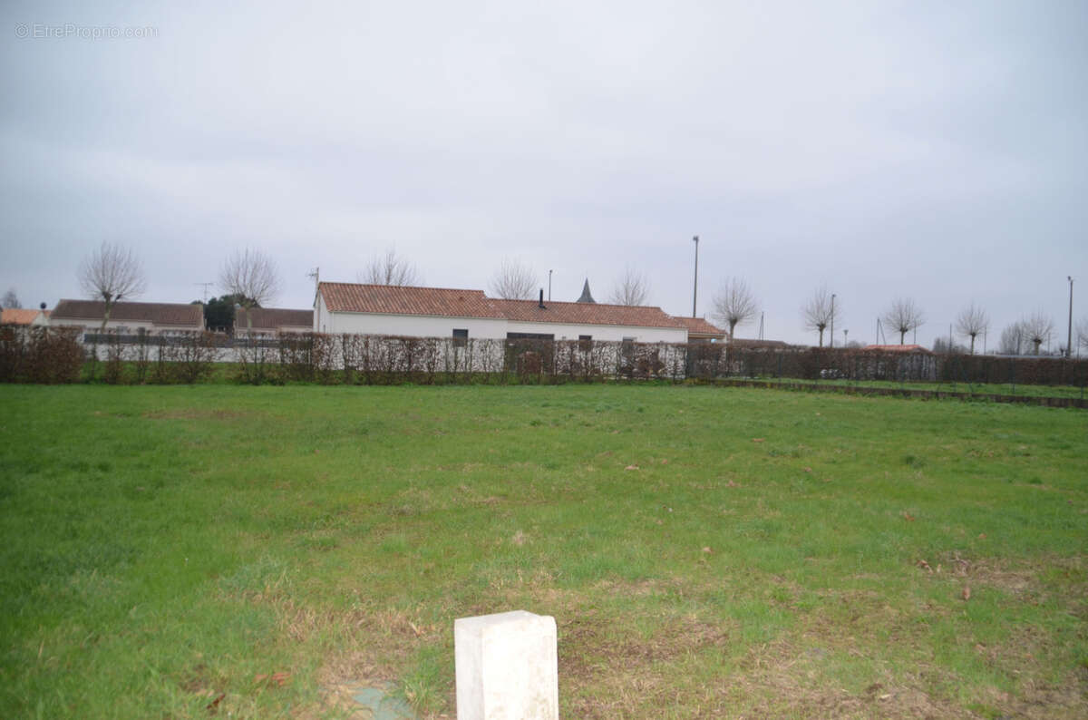 Terrain à SAINT-MAURICE-DES-NOUES