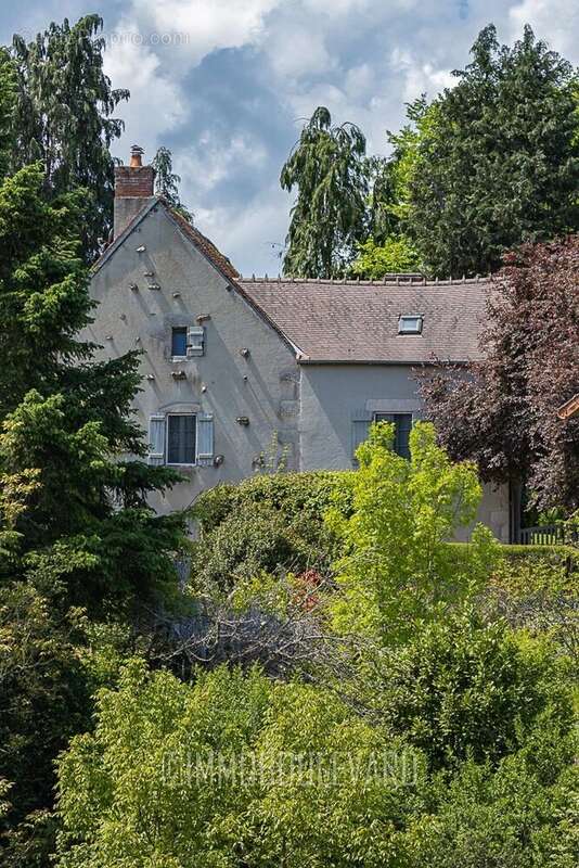 À vendre, Maison de charme à Boussac (23) vue château - photo 5