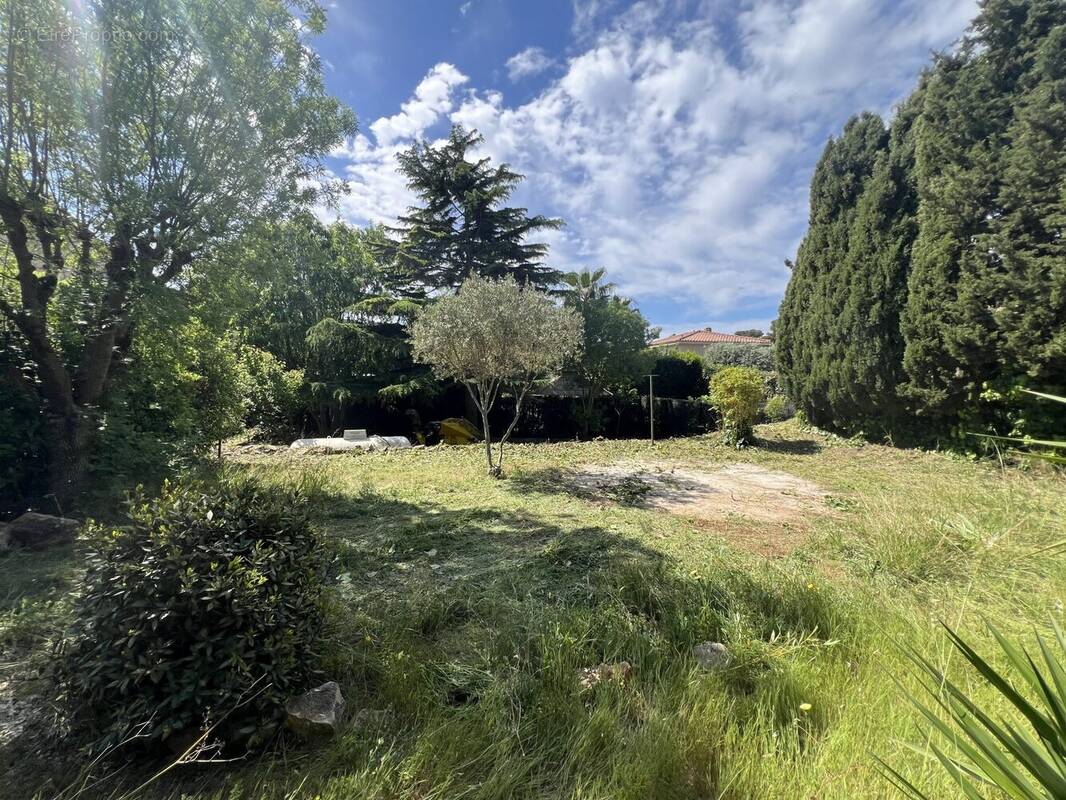 Terrain à SANARY-SUR-MER