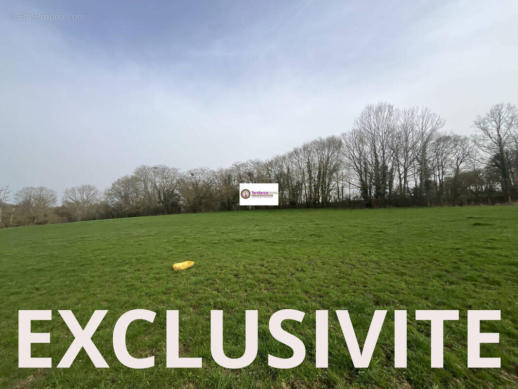 Terrain à SAINTE-SCOLASSE-SUR-SARTHE