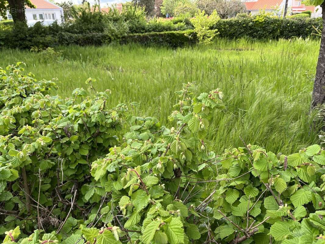 Terrain à bâtir de 285 m² à REZE (44) - photo 2