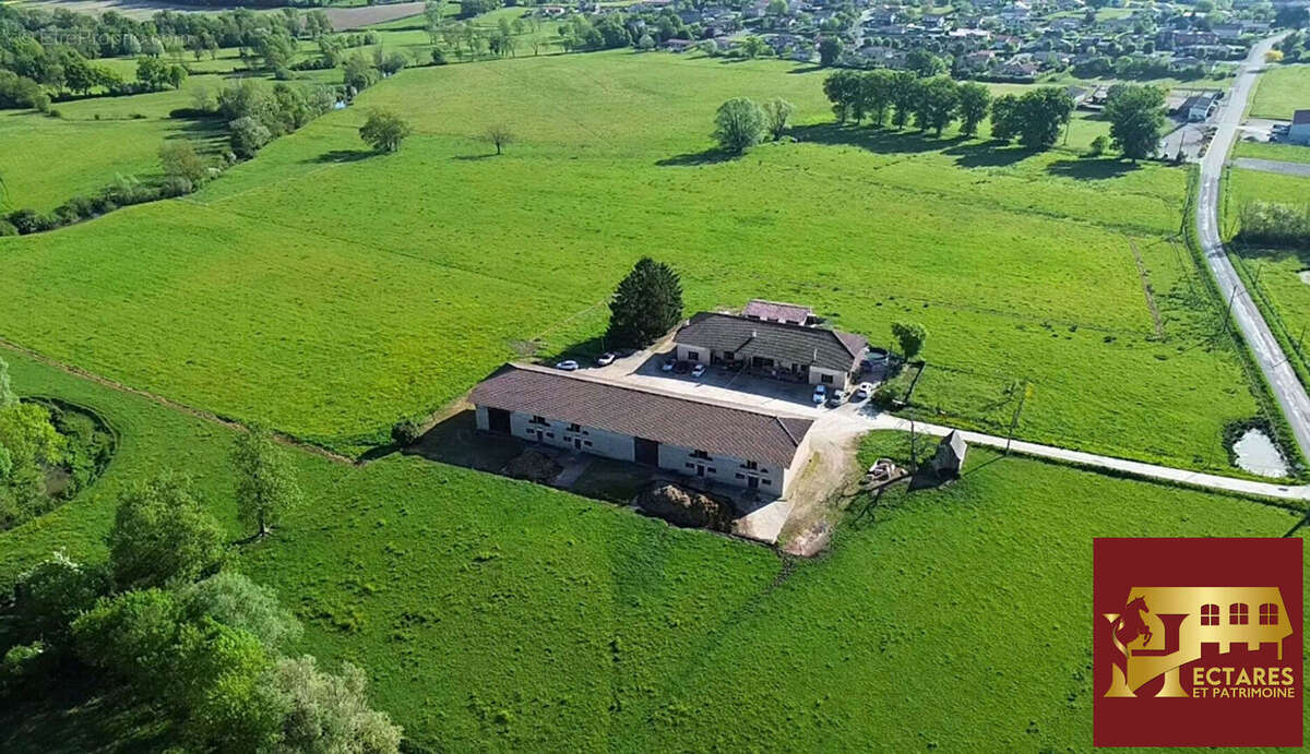 3 logements jusqu'à 16 hectares - photo 2