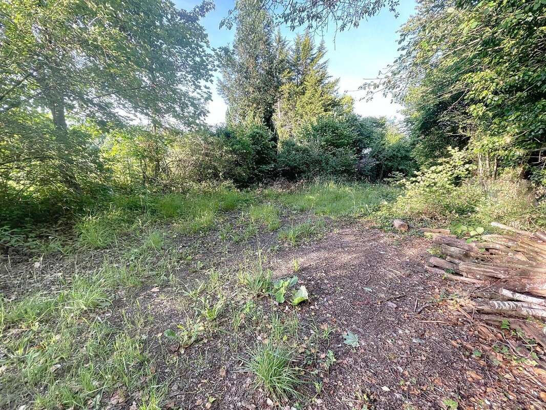 Photo 5 - Terrain à GUIGNICOURT-SUR-VENCE