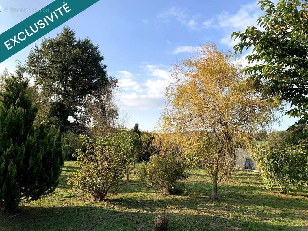 Photo 3 - Maison à LOUHANS