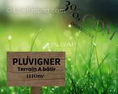 Terrain à PLUVIGNER