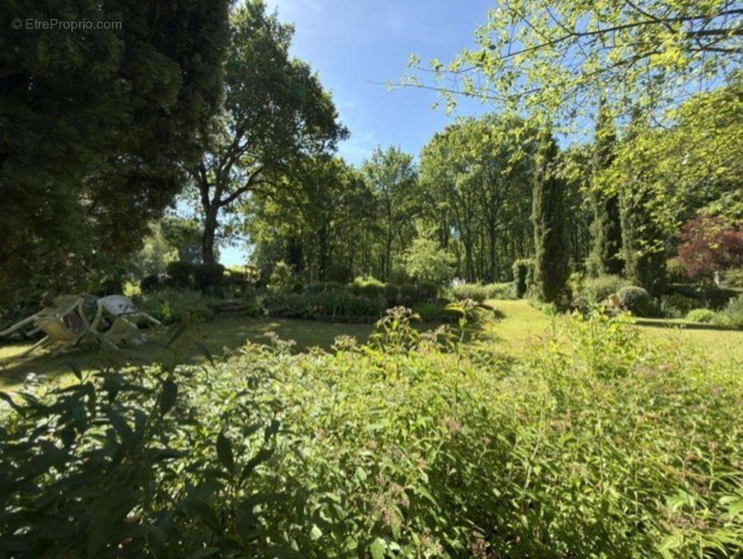 Val Saint-Germain 91530. 45 KM DE PARIS – Propriété rare sur 9788 M², Belle maison 157 m² avec 5 chambres. DPE /D - photo 10