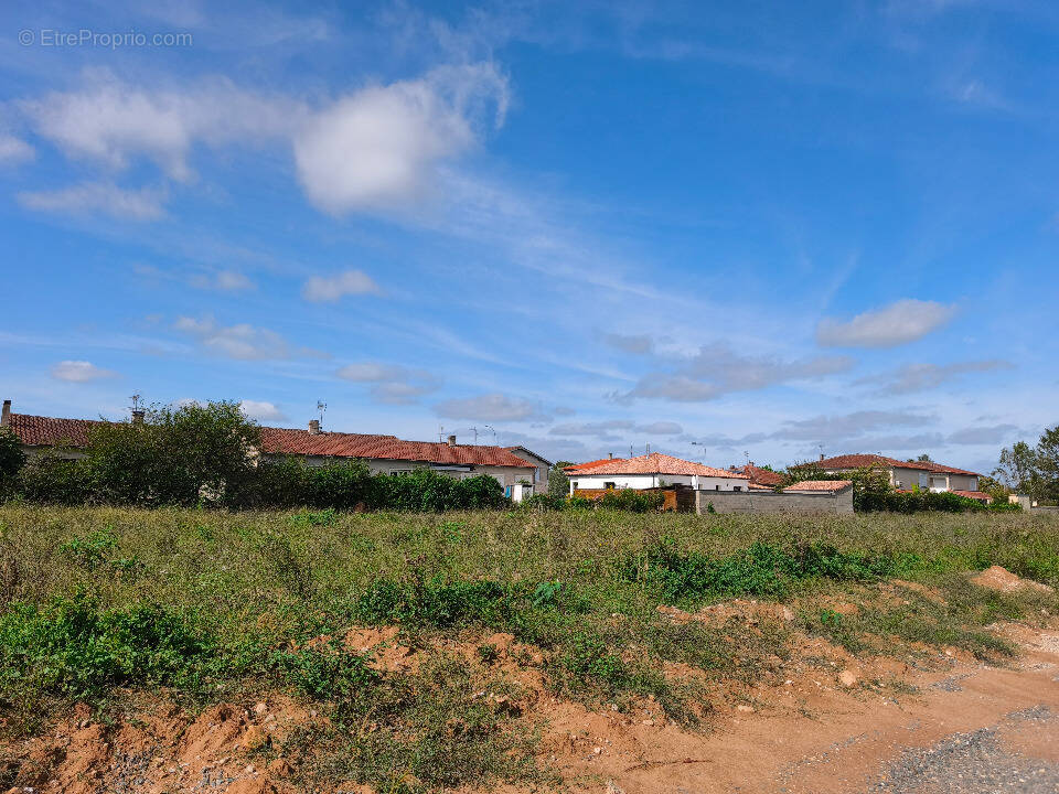 Terrain 570 m² à Gaillac  - photo 1