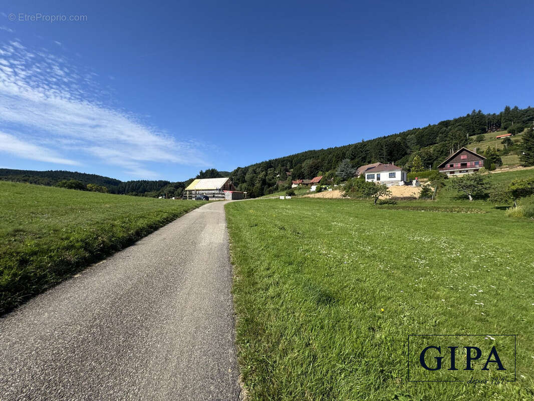 Terrain à LE HOHWALD