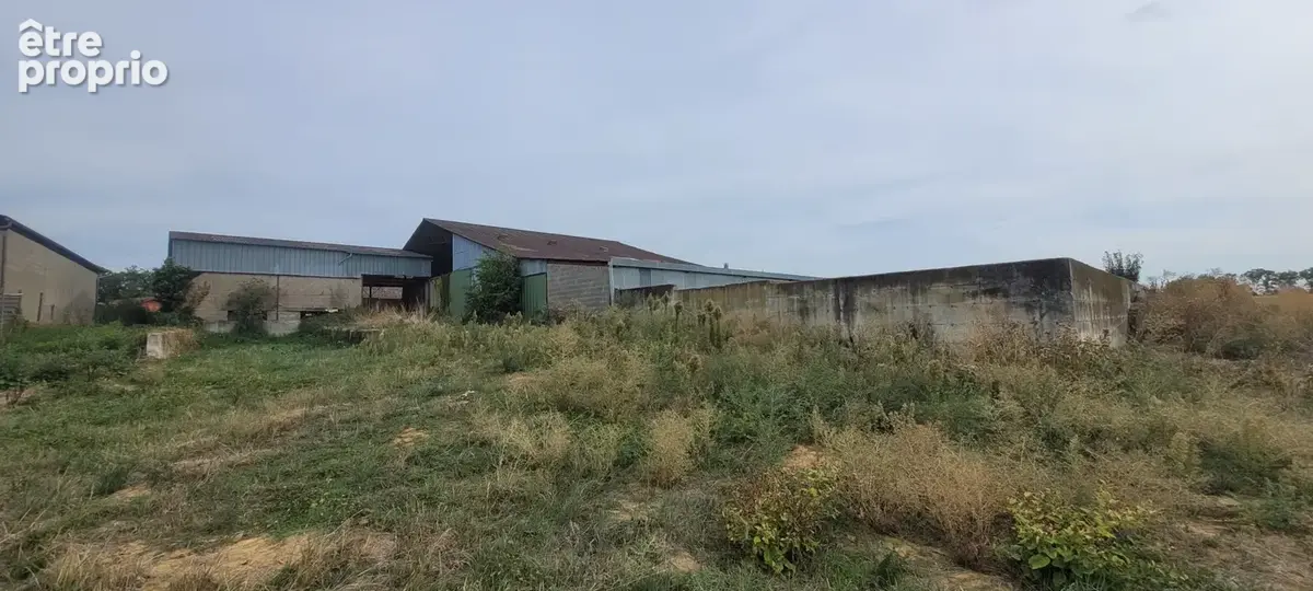 Hangar agricole - photo 4