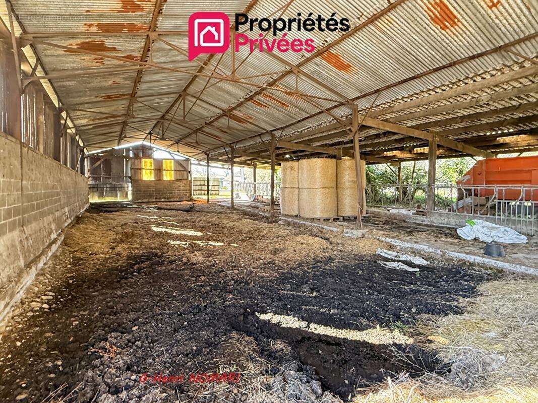 Maison à MARTIGNE-FERCHAUD