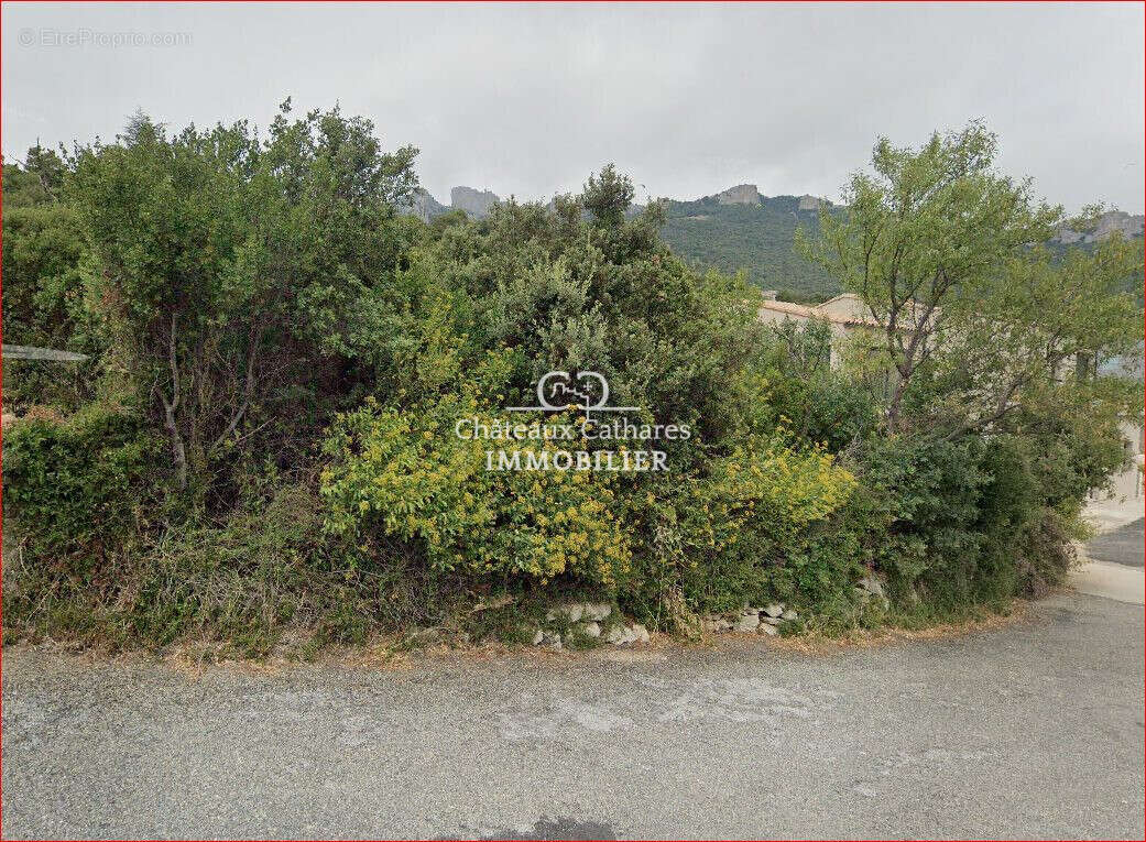 Terrain à DUILHAC-SOUS-PEYREPERTUSE