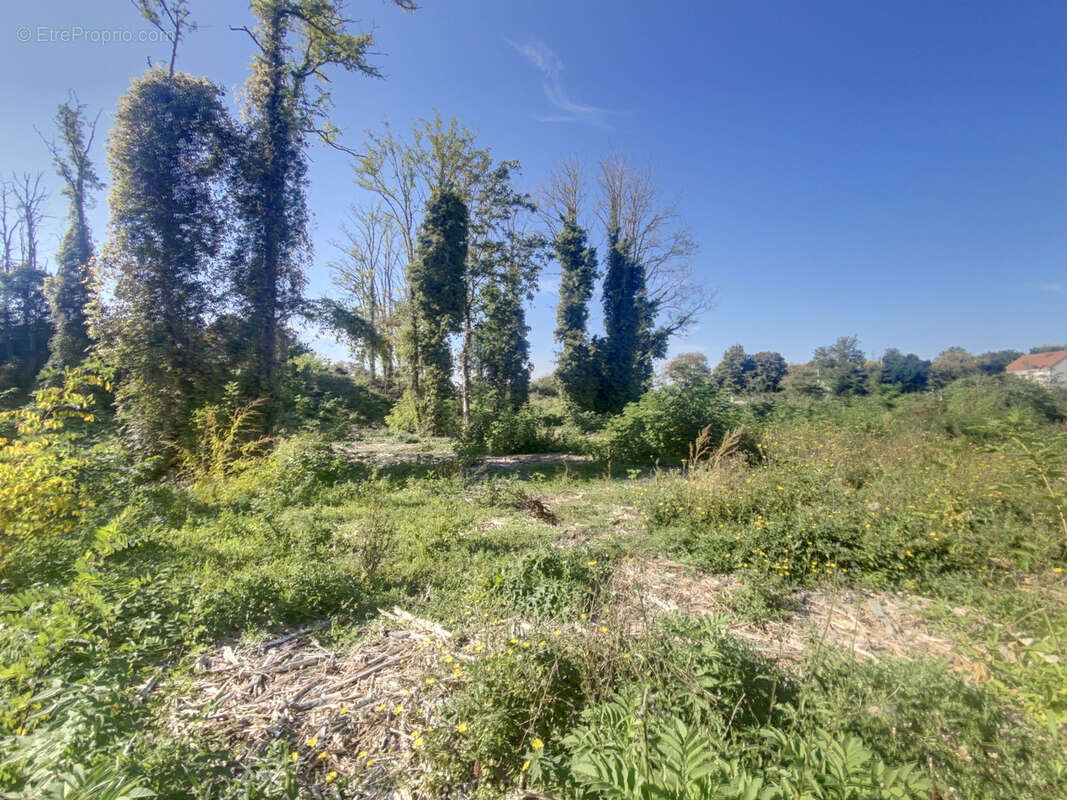 Terrain à BEAUGENCY