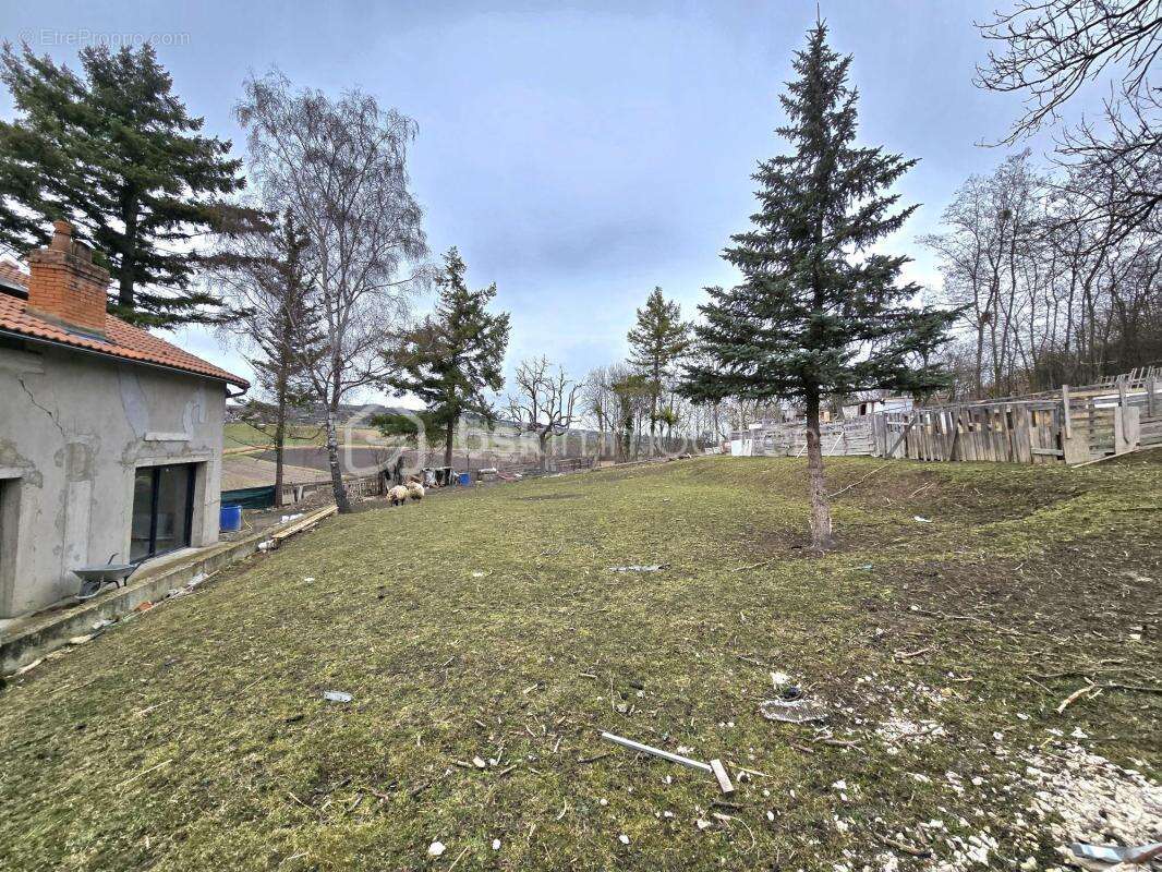 Maison à finir de rénover – 180 m² – Beau potentiel – Terrain 5 010 m² – Aubiat - photo 3