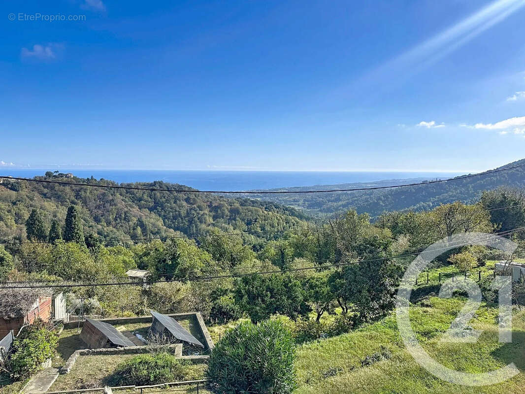 Maison à VELONE-ORNETO