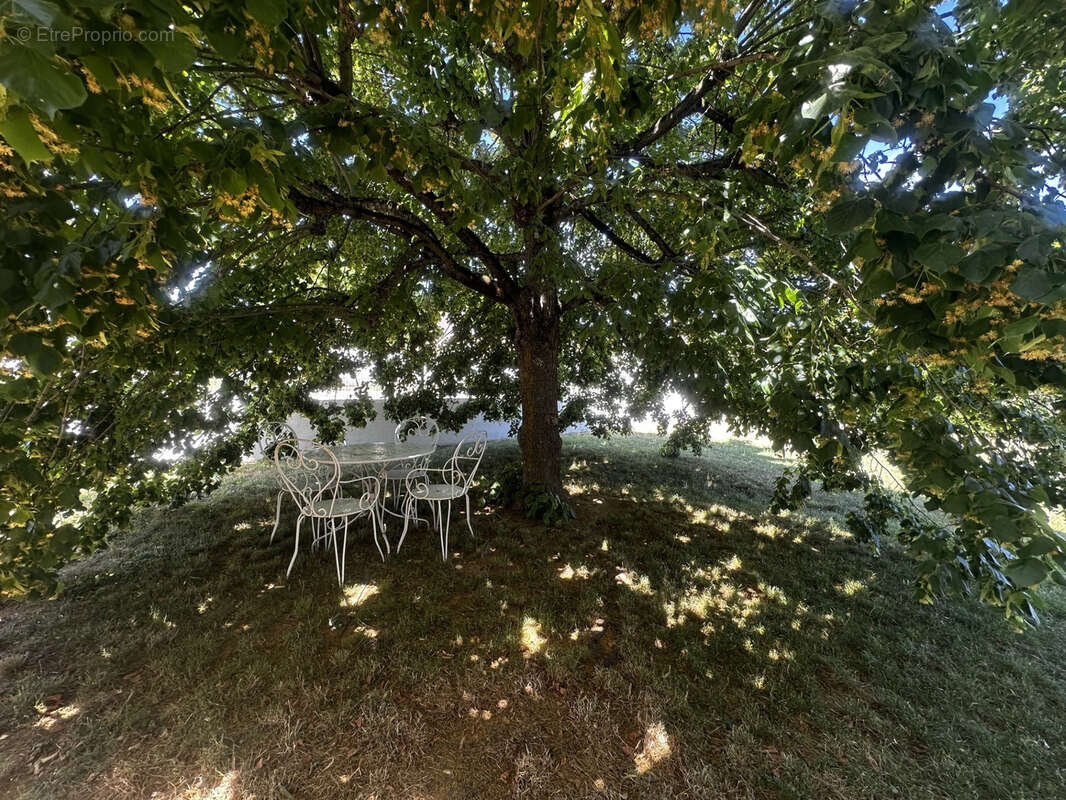 Maison à POUILLY-LES-NONAINS