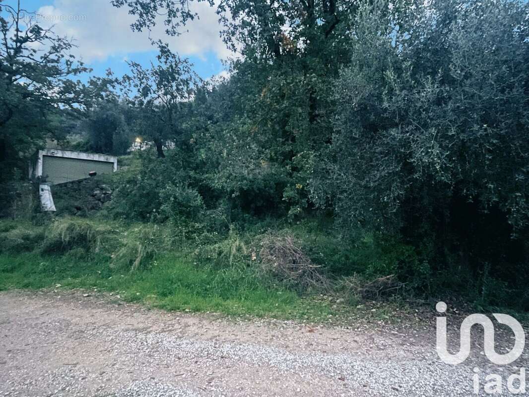 Photo 3 - Terrain à BLAUSASC