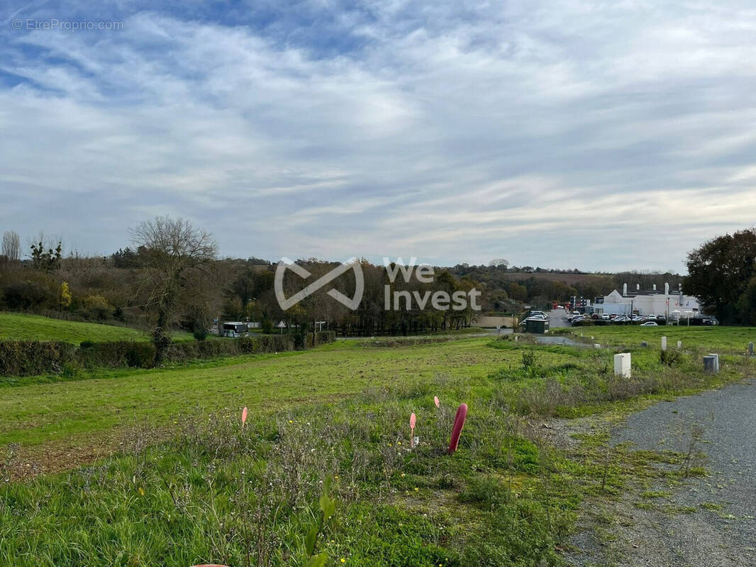 Terrain à MOUCHAMPS