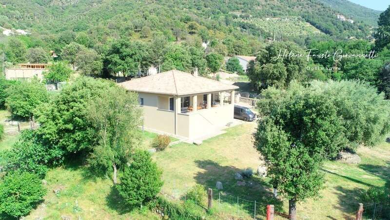 Maison à OMESSA