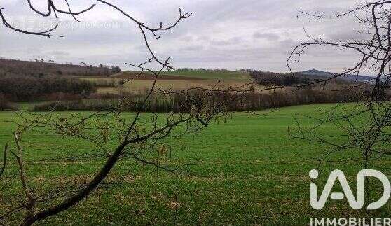 Photo 8 - Terrain à PONT-A-MOUSSON