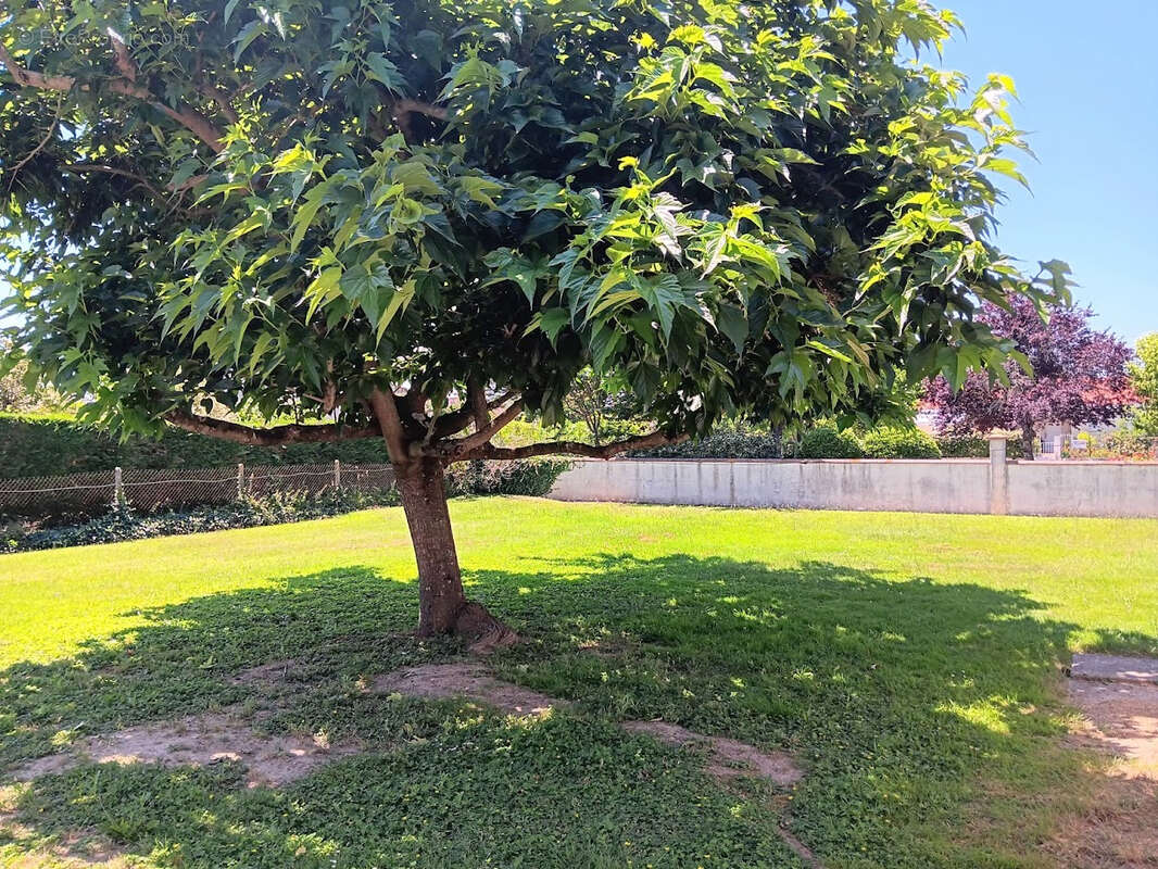Maison à MONTBARTIER