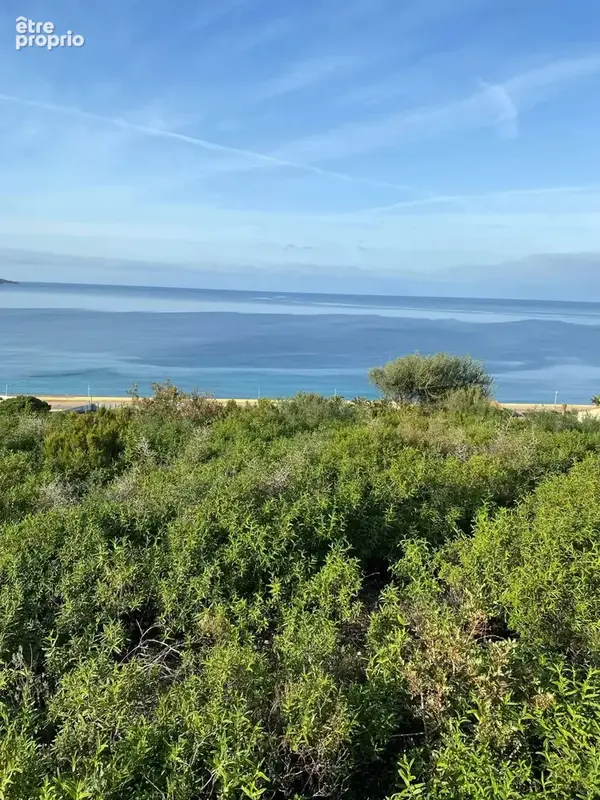 Terrain à SAINT-FLORENT